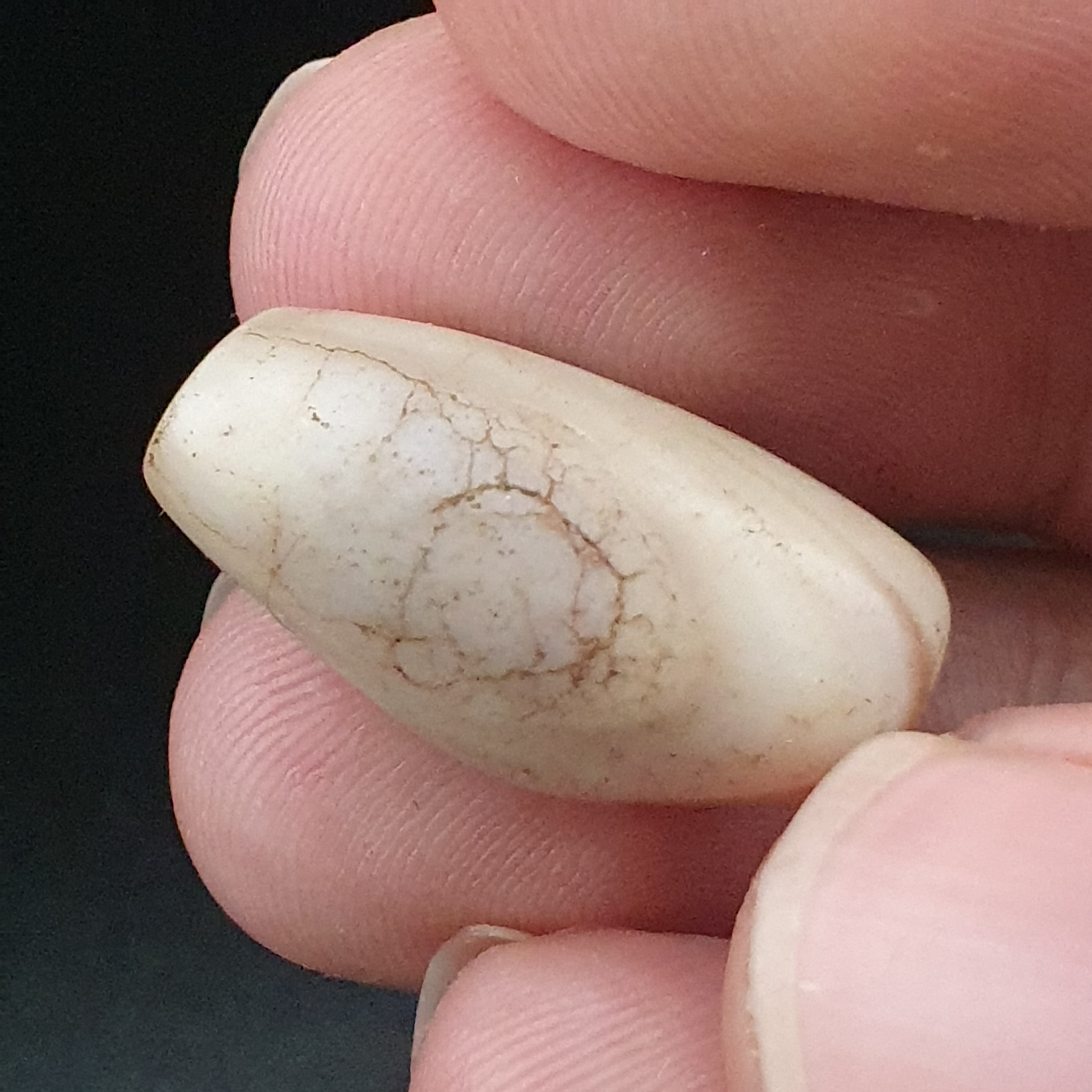 Rare Ancient Natural Eye Suliemani Agate Pair