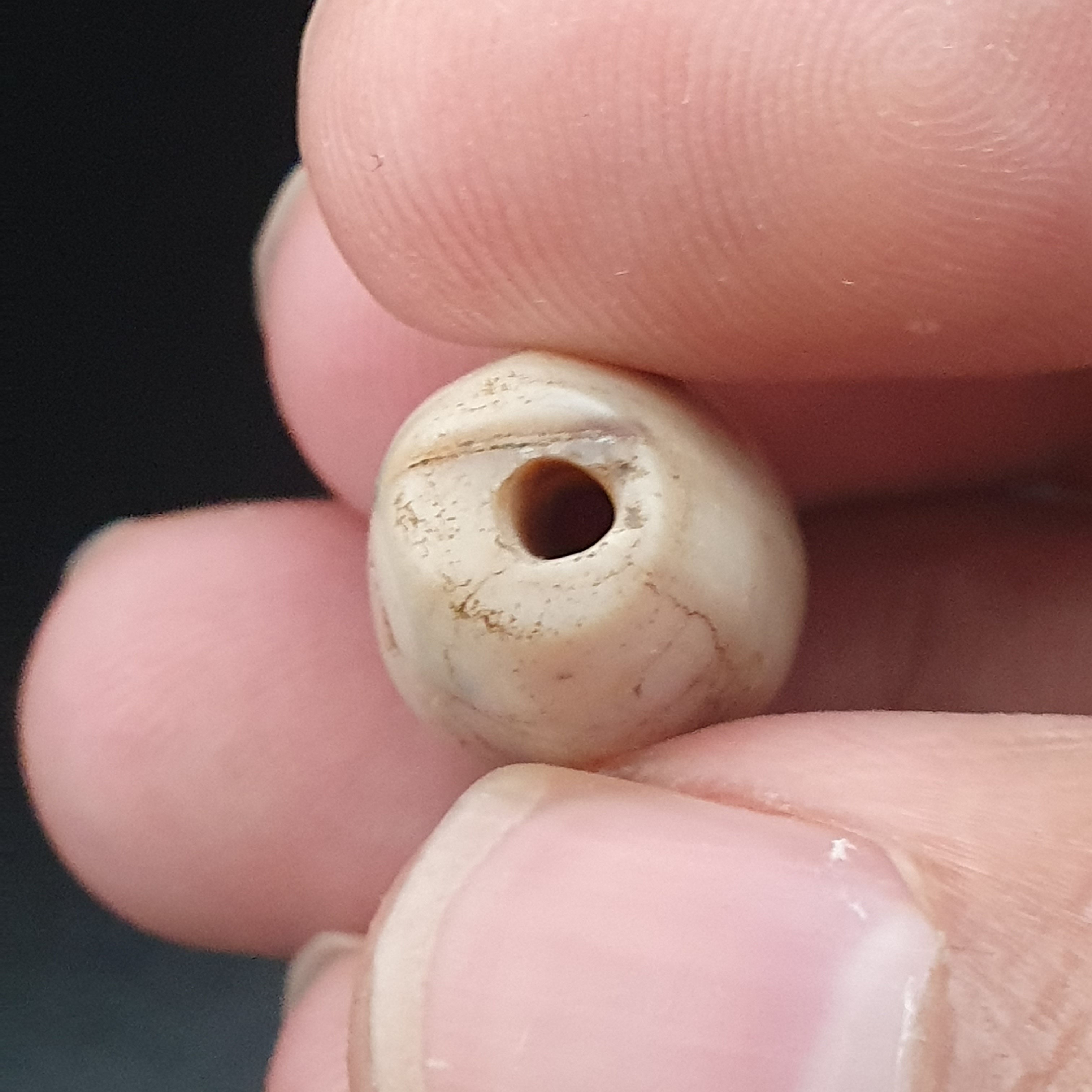 Rare Ancient Natural Eye Suliemani Agate Pair