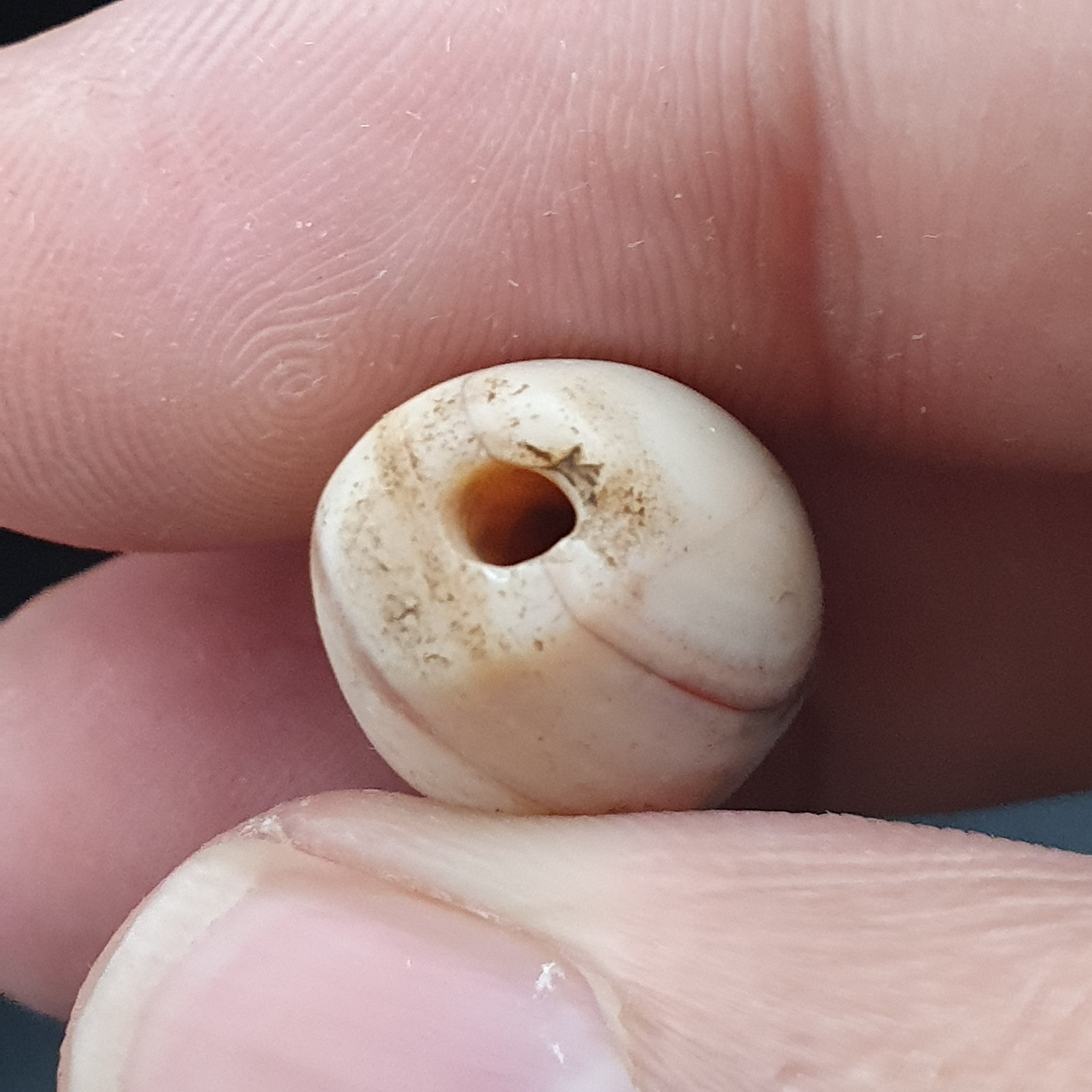 Rare Ancient Natural Eye Suliemani Agate Pair