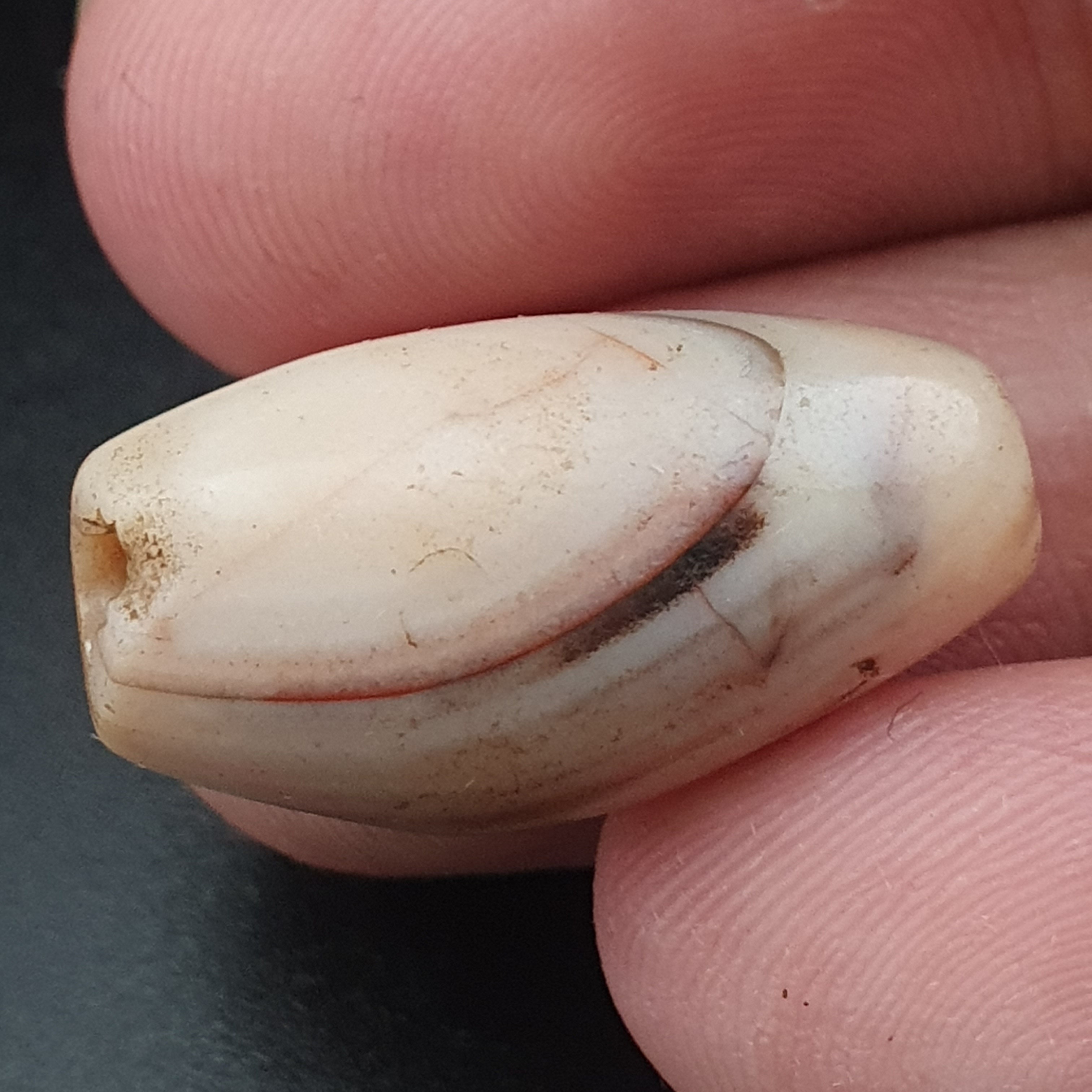 Rare Ancient Natural Eye Suliemani Agate Pair