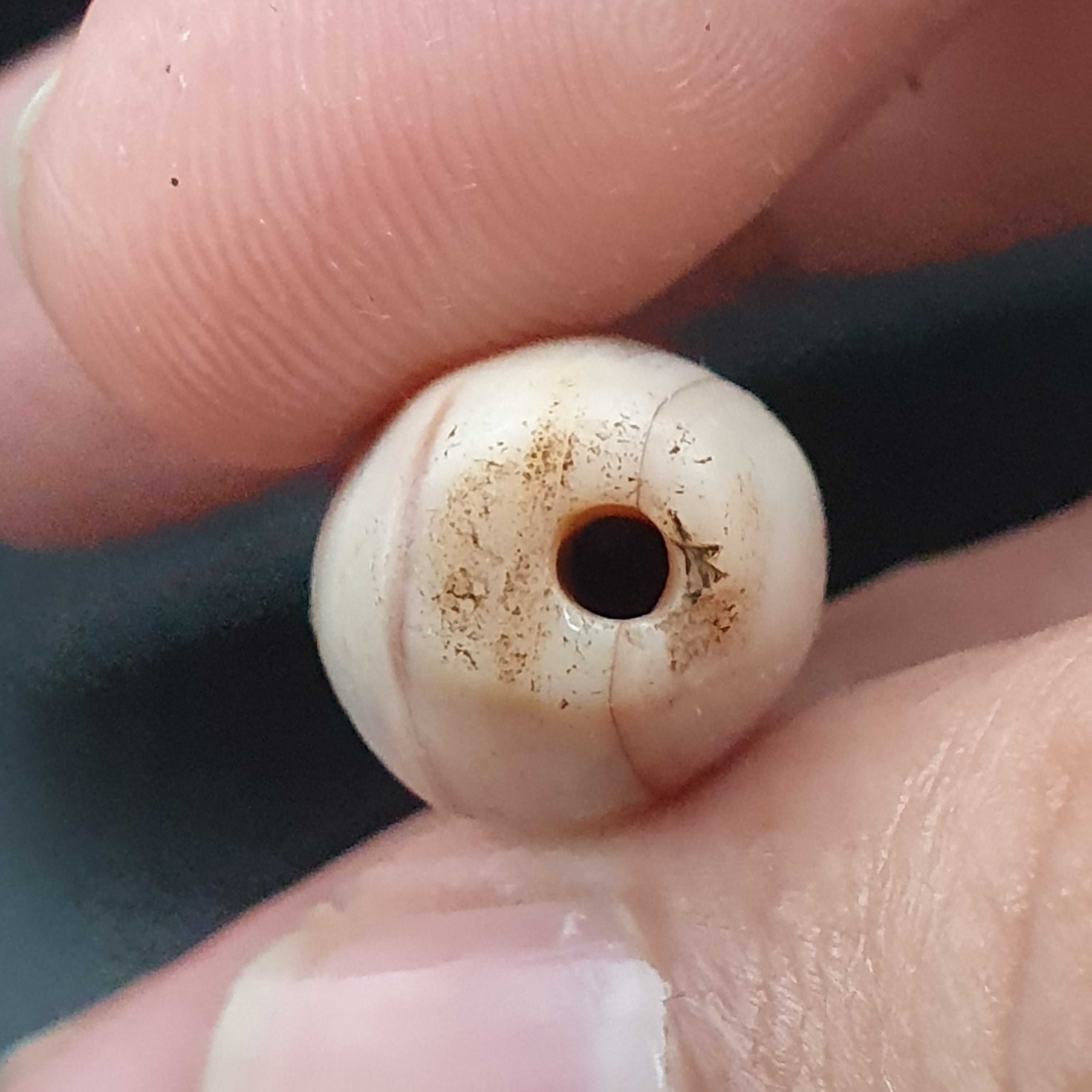 Rare Ancient Natural Eye Suliemani Agate Pair