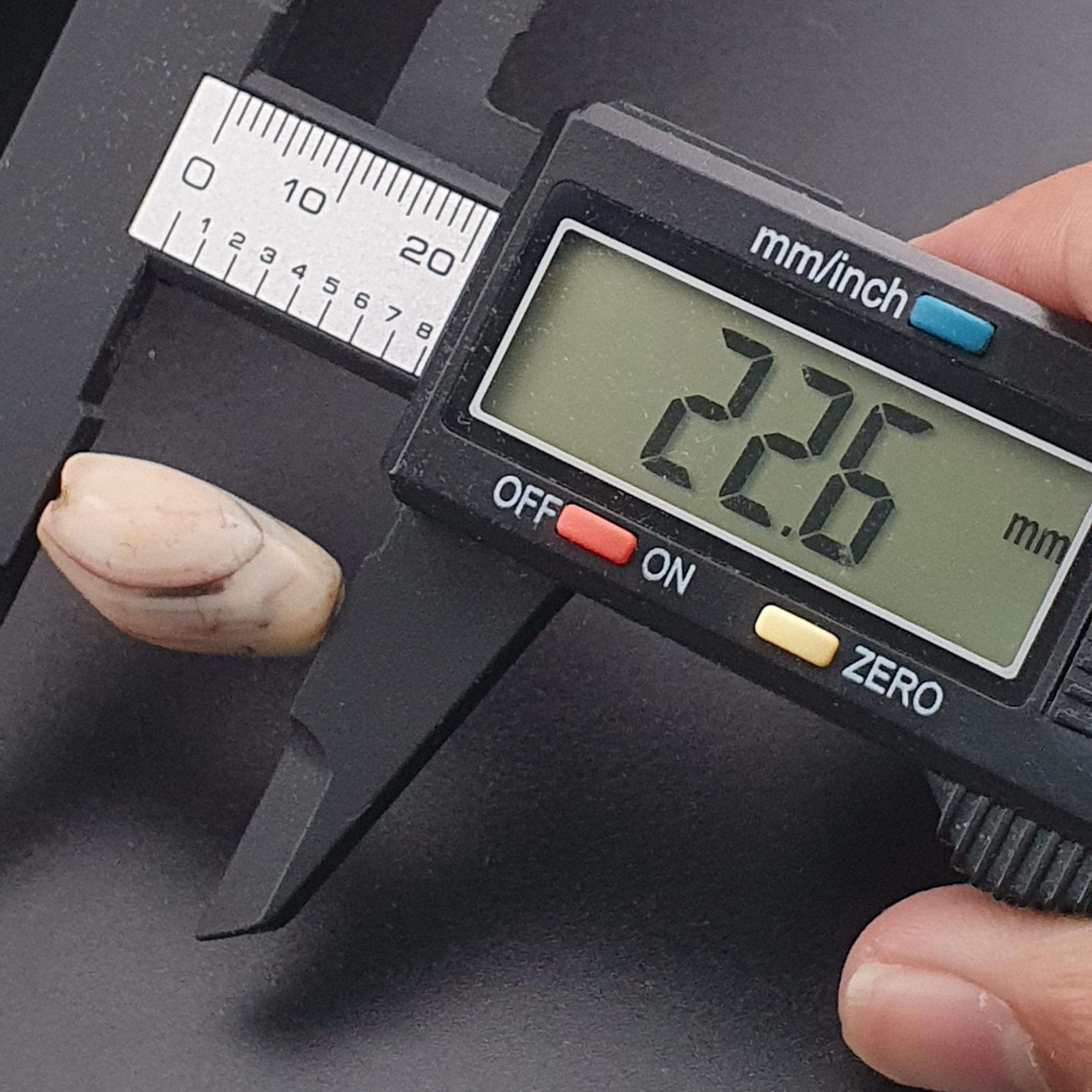 Rare Ancient Natural Eye Suliemani Agate Pair