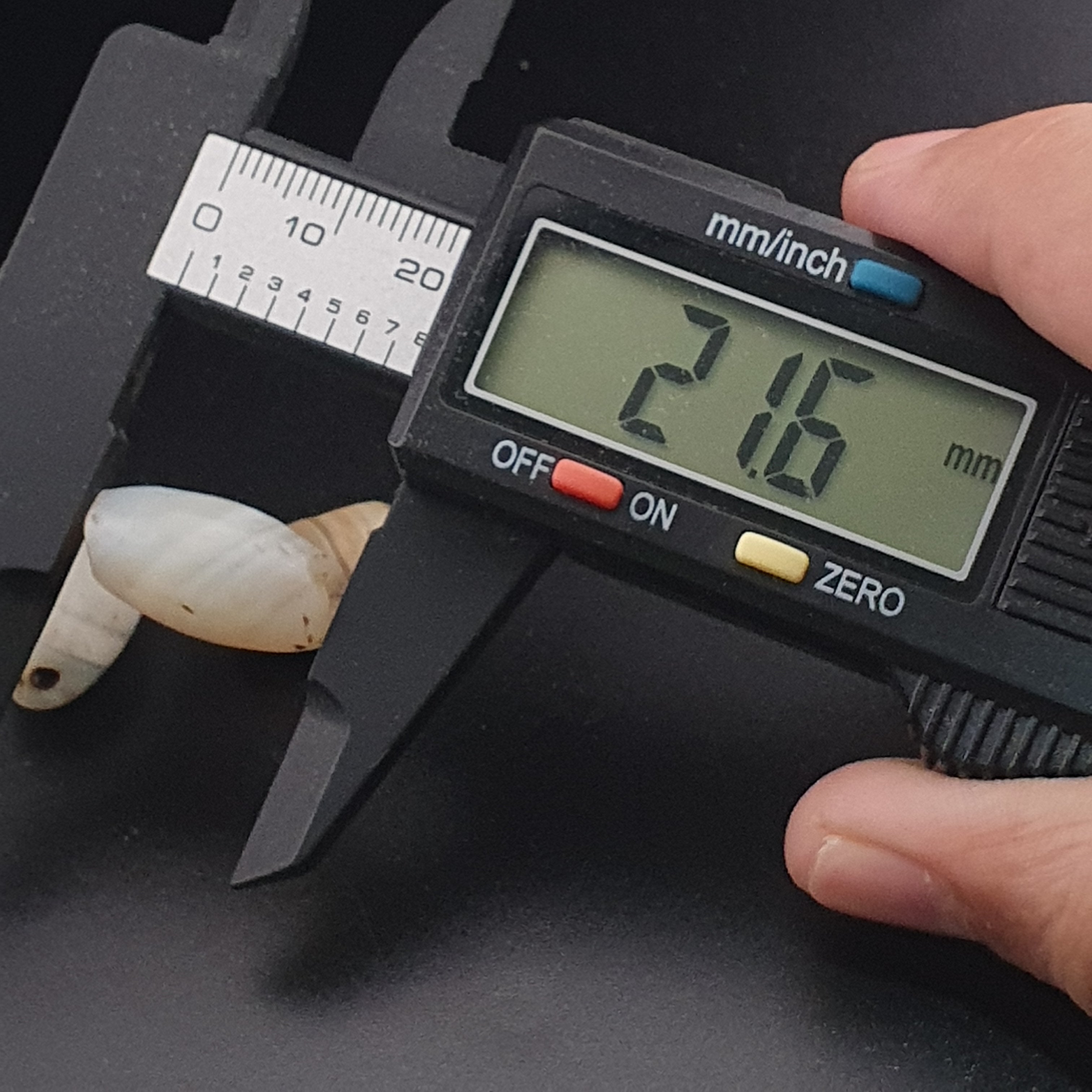 Anceint Natrual Stripes Pattern Suleimani Agate Bead Lot of 3