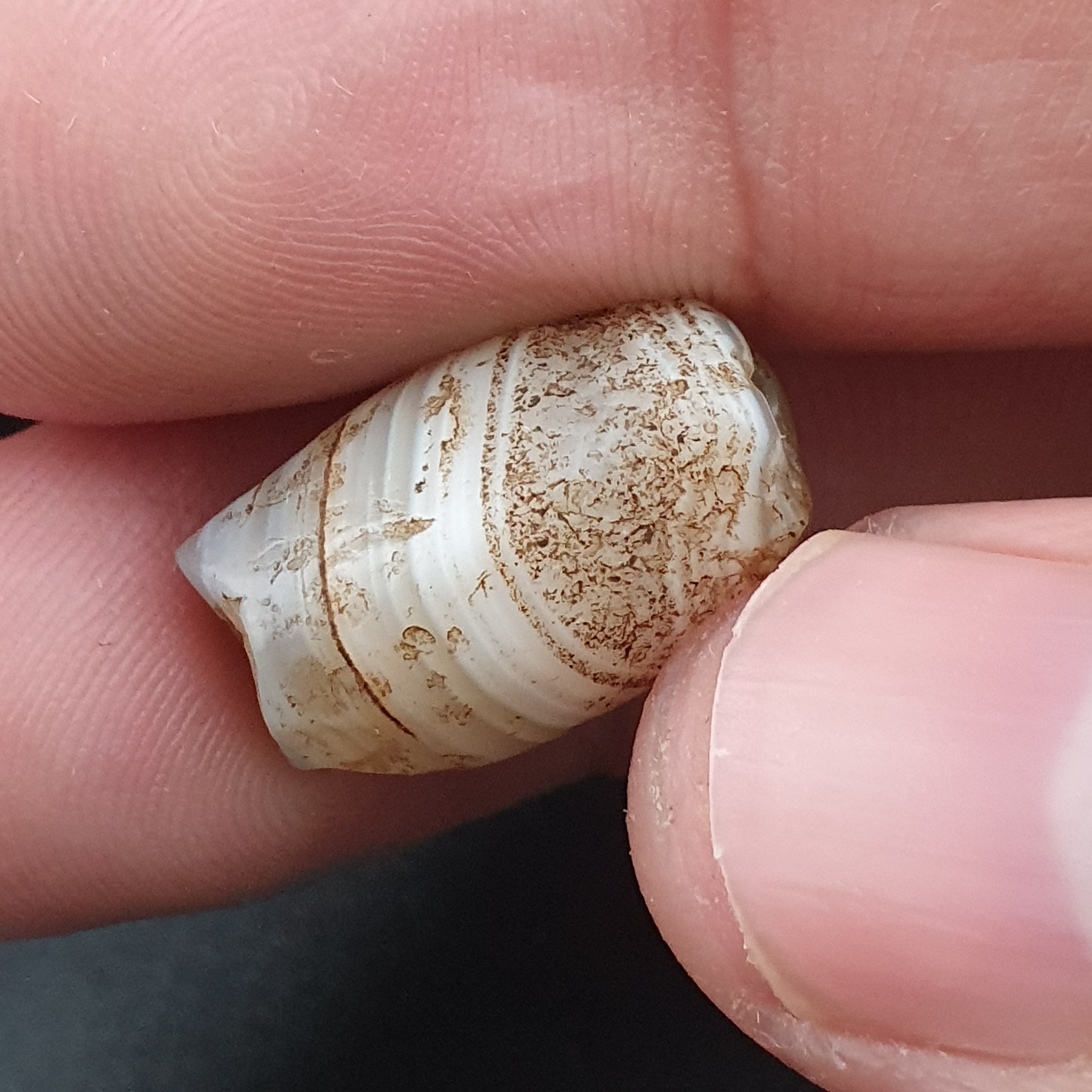 Rare Ancient Natural Eye Suleimani Agate Bead 3 pcs Lot