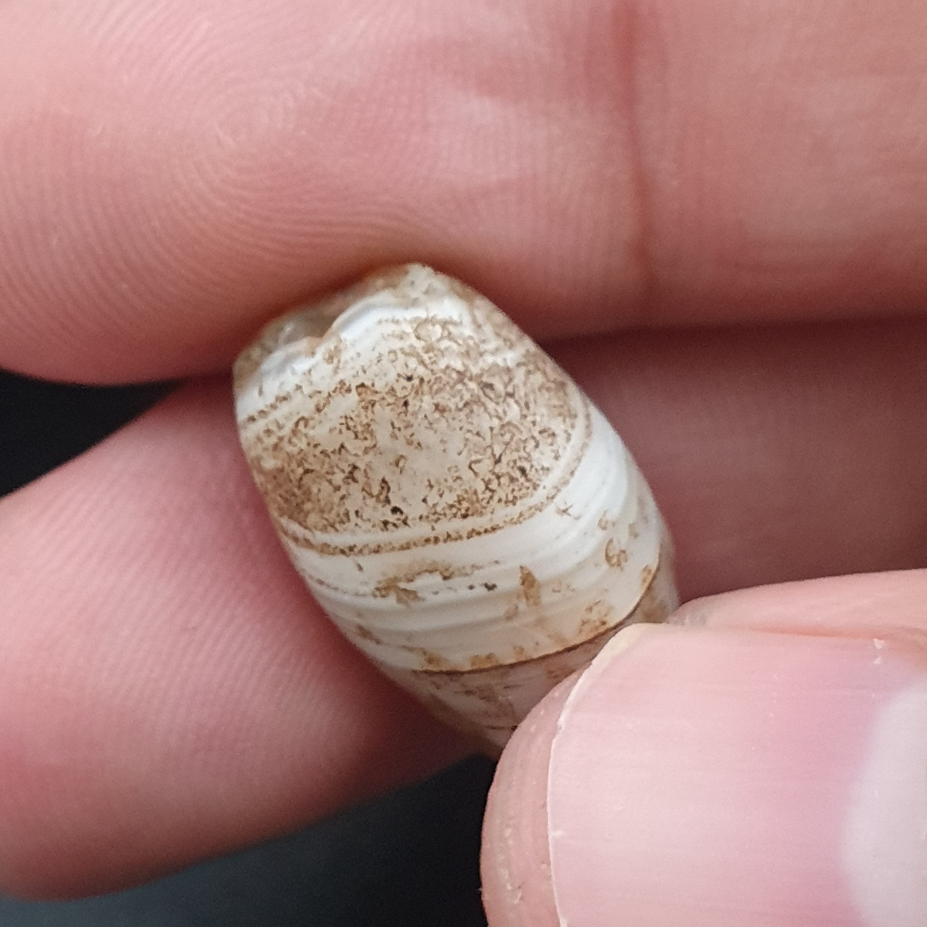 Rare Ancient Natural Eye Suleimani Agate Bead 3 pcs Lot