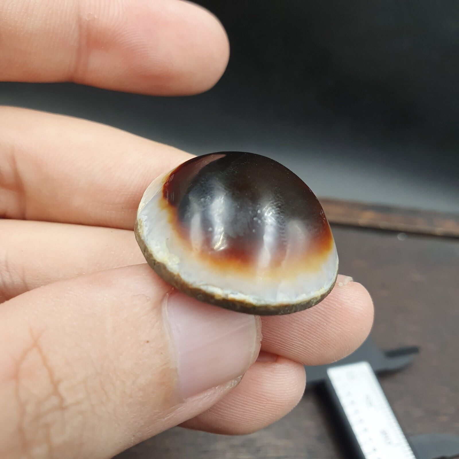 Antique Tibetan Luk Mik Goat Eye Agate Stone Cabochon 30mm