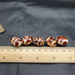 Himalayan Indo Tibetan rare Patterns Dzi Amulet Bead lot 5 beads