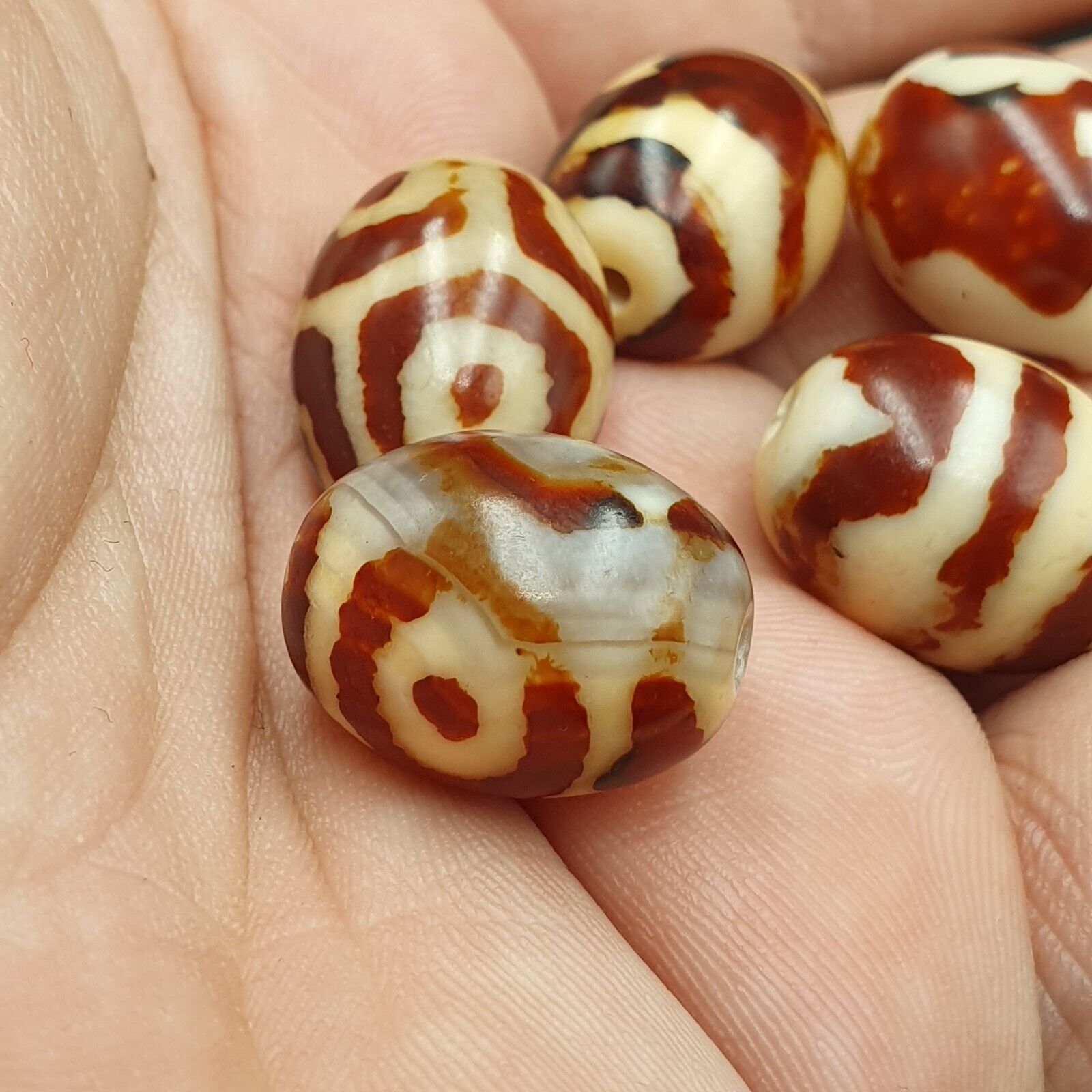 Himalayan Indo Tibetan rare Patterns Dzi Amulet Bead lot 5 beads