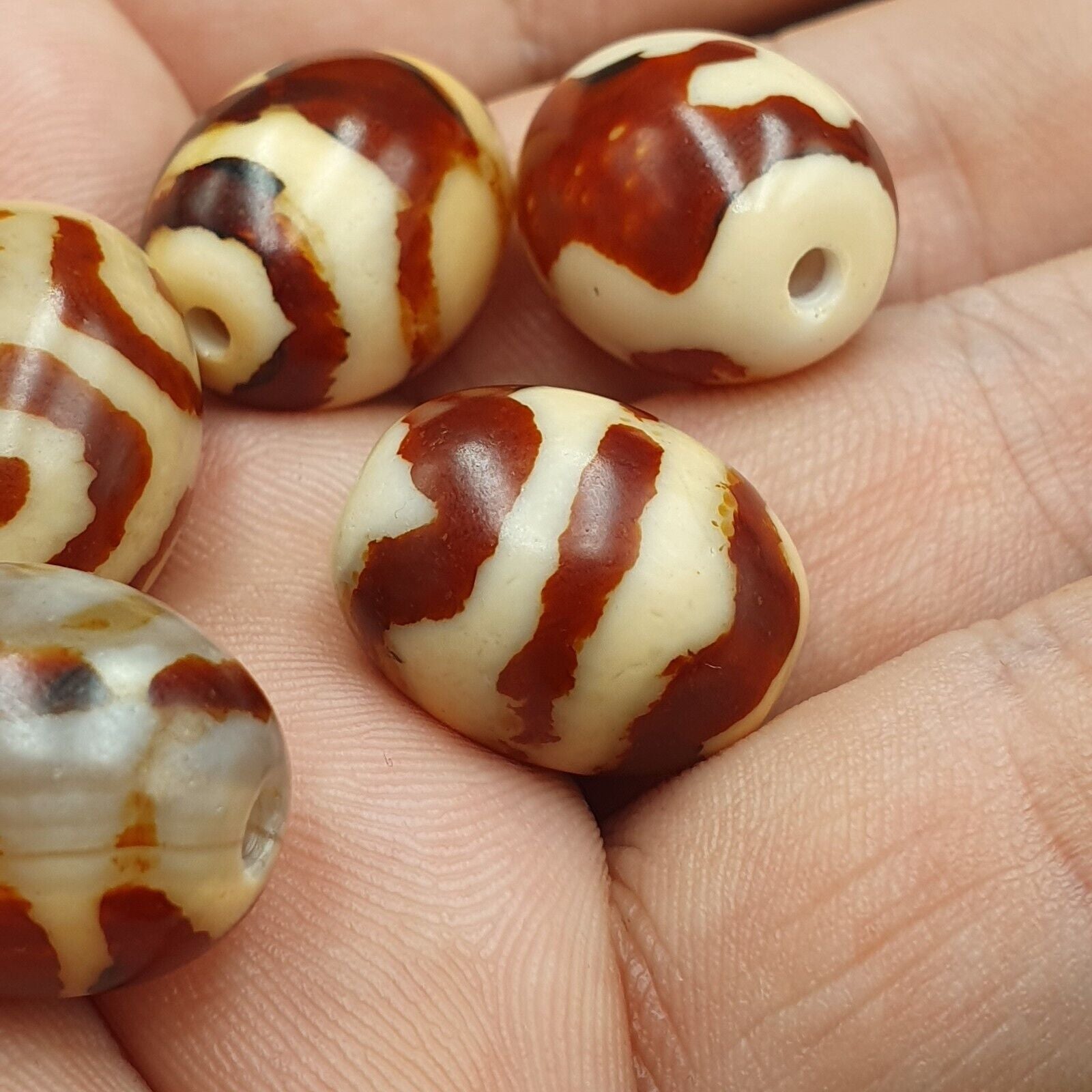 Himalayan Indo Tibetan rare Patterns Dzi Amulet Bead lot 5 beads