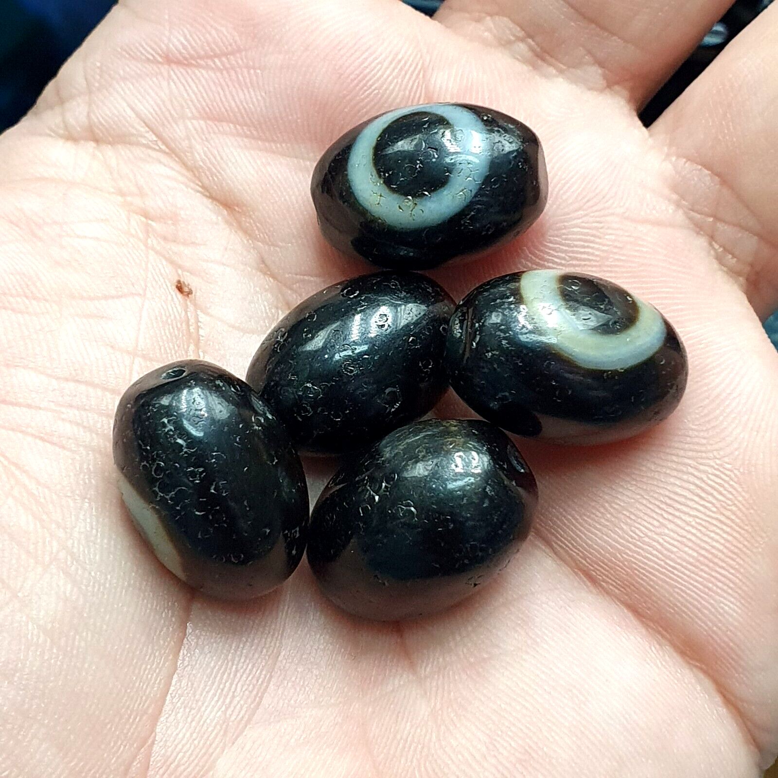 Lot 5 Old Antique Himalayan Tibetan Dragon 1 Eye Dzi Amulet Bead #MY5