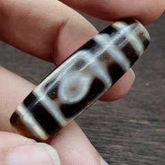 Tibetan Nepalese Himalayan Old Dzi Unique 2 eye Bead Amulet