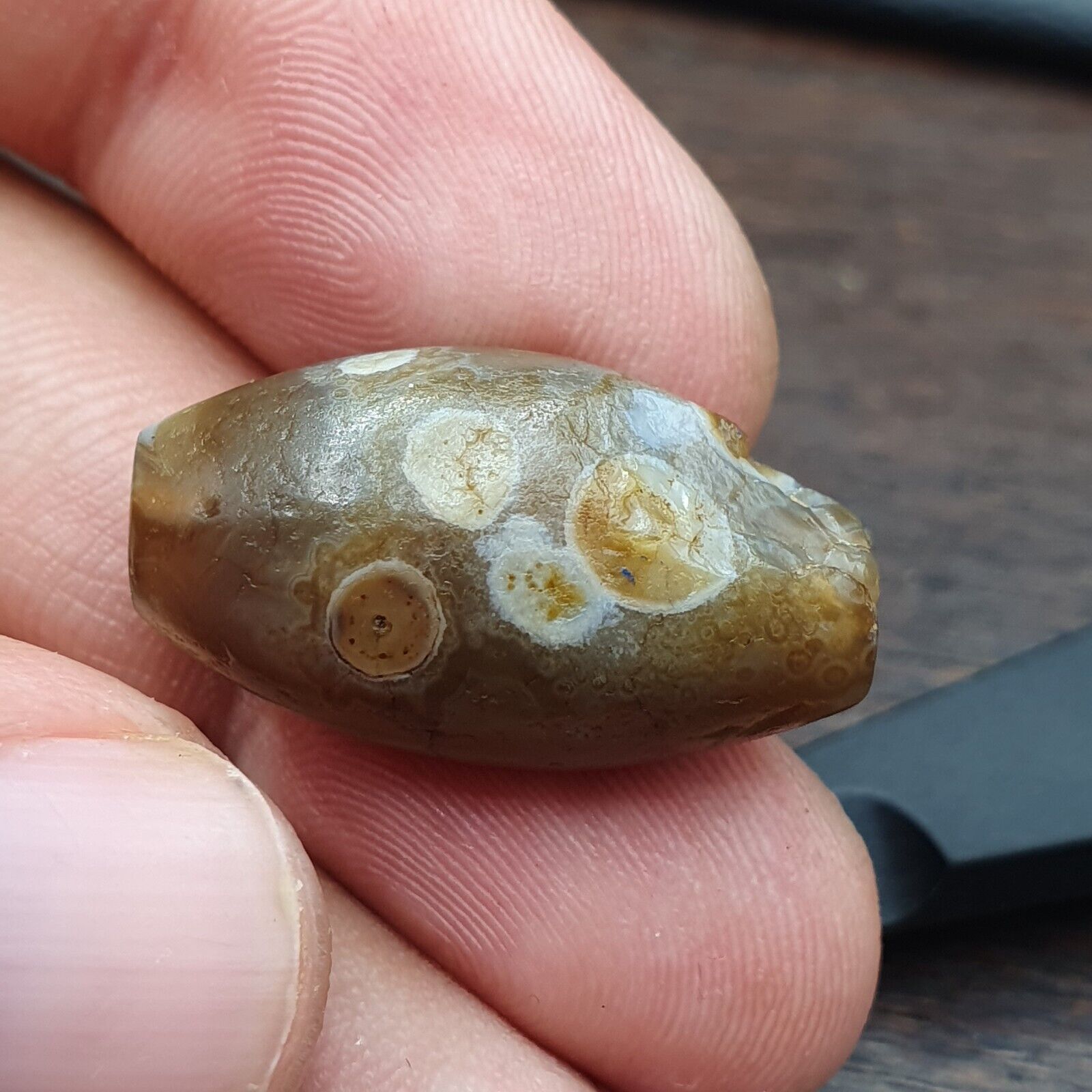 Ancient Agate Himalayan Tibetan Natural Eye Pattern Agate Bead JNT-JUN-3