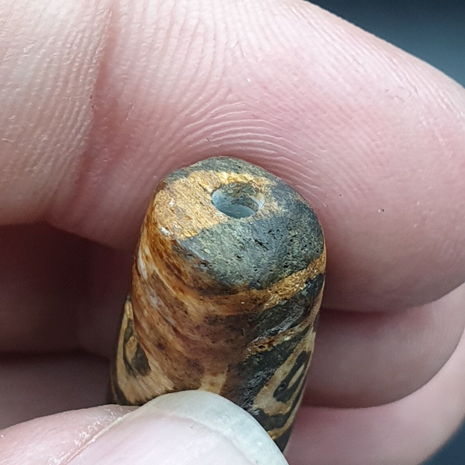 Antique south asian burmese old pyu tribe pumtek petrified wood stone bead