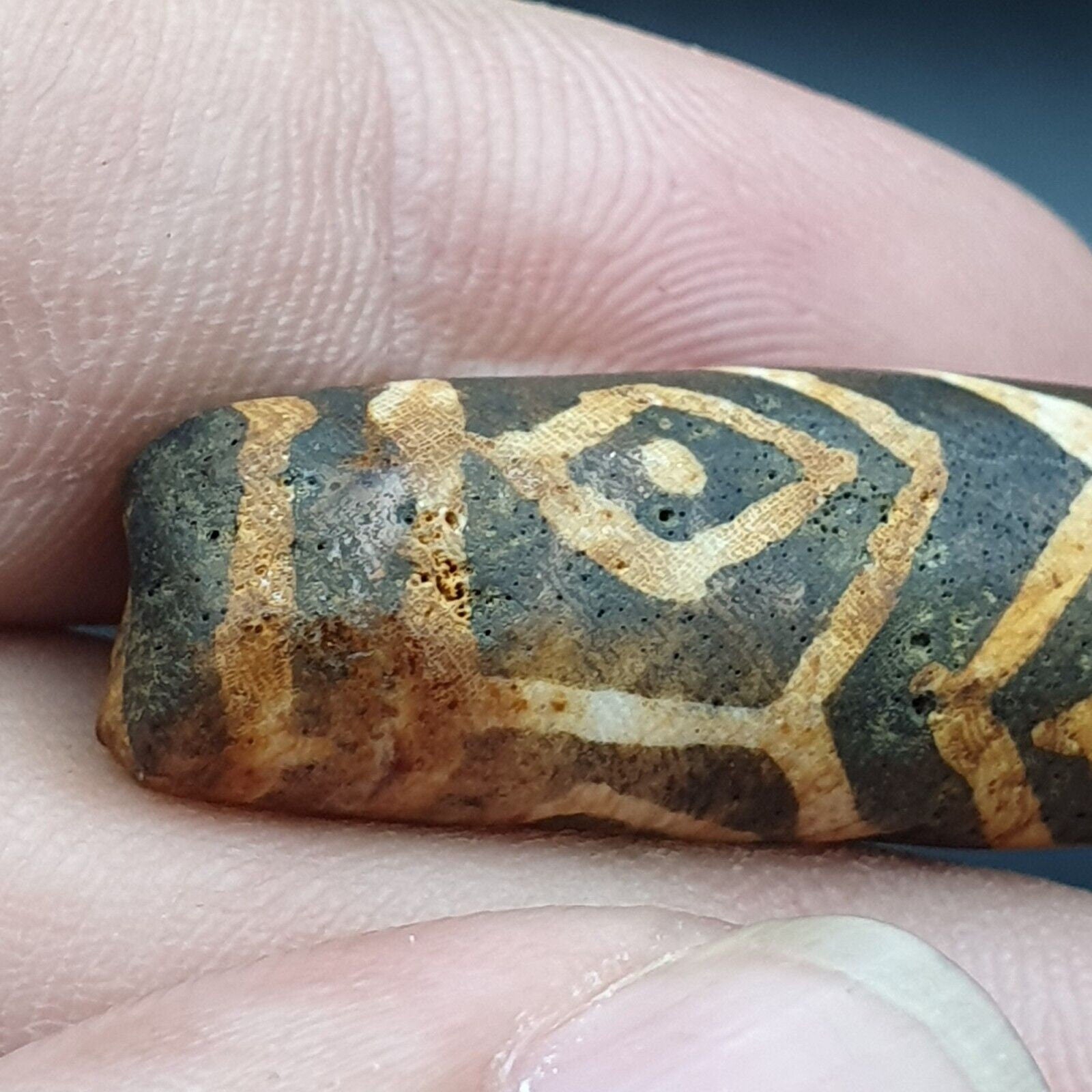 Antique south asian burmese old pyu tribe pumtek petrified wood stone bead