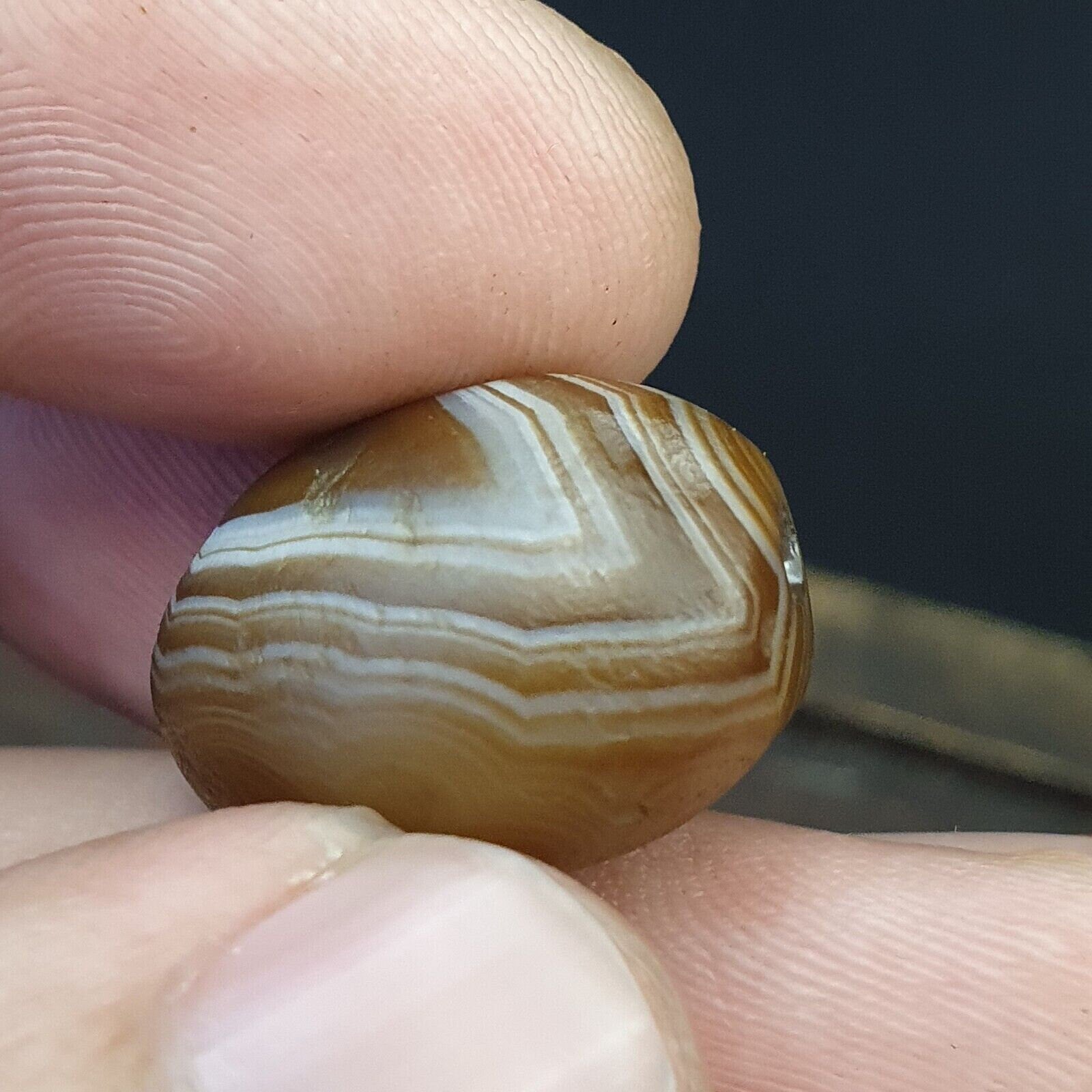 Dzi old bead pure eye india tibetan himalaya amulet religious antiquities