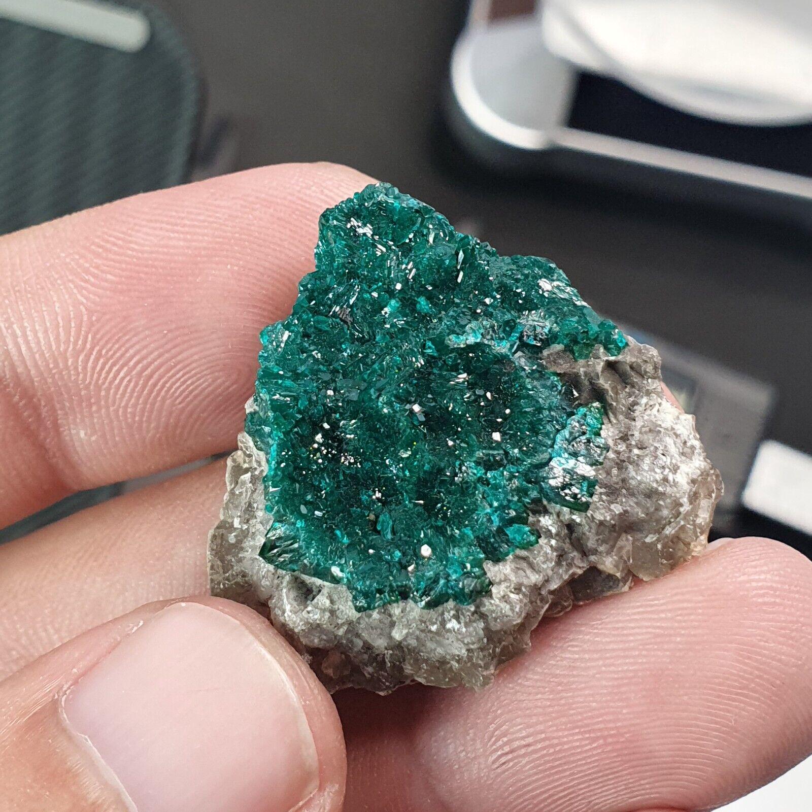 Green Dioptase Crystal Specimen: Congo Druzy Mineral, 65 Carats