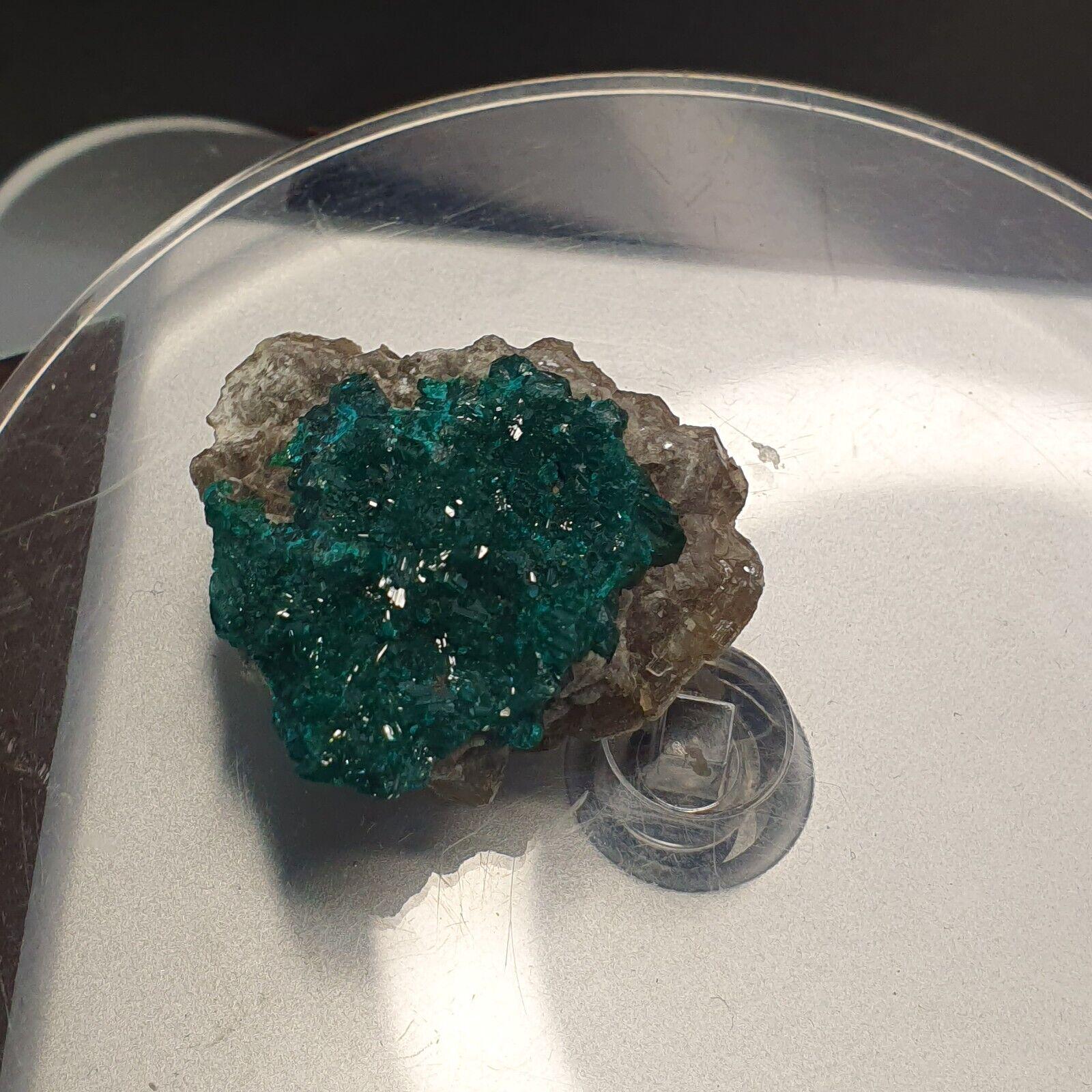 Green Dioptase Crystal Specimen: Congo Druzy Mineral, 65 Carats