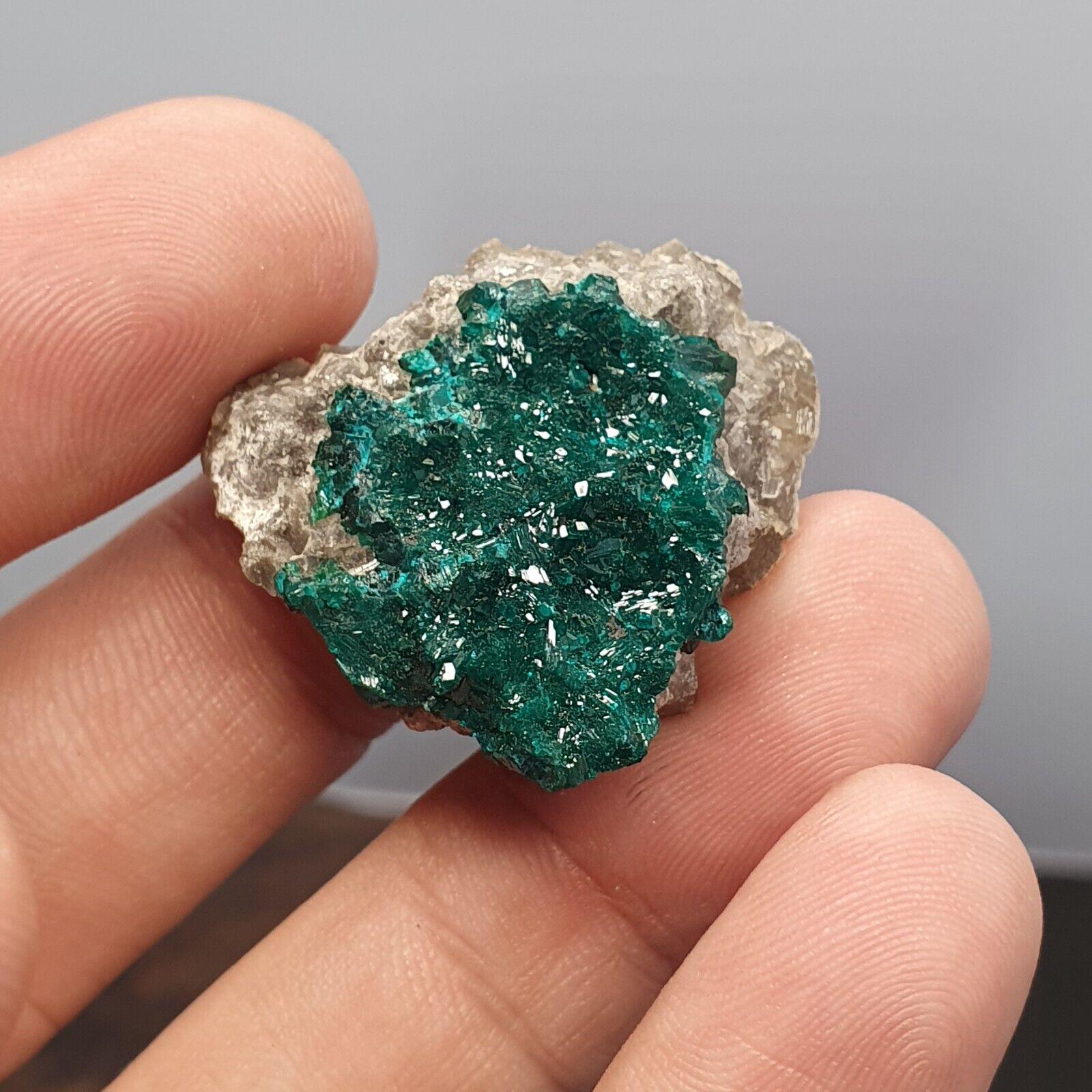 Green Dioptase Crystal Specimen: Congo Druzy Mineral, 65 Carats