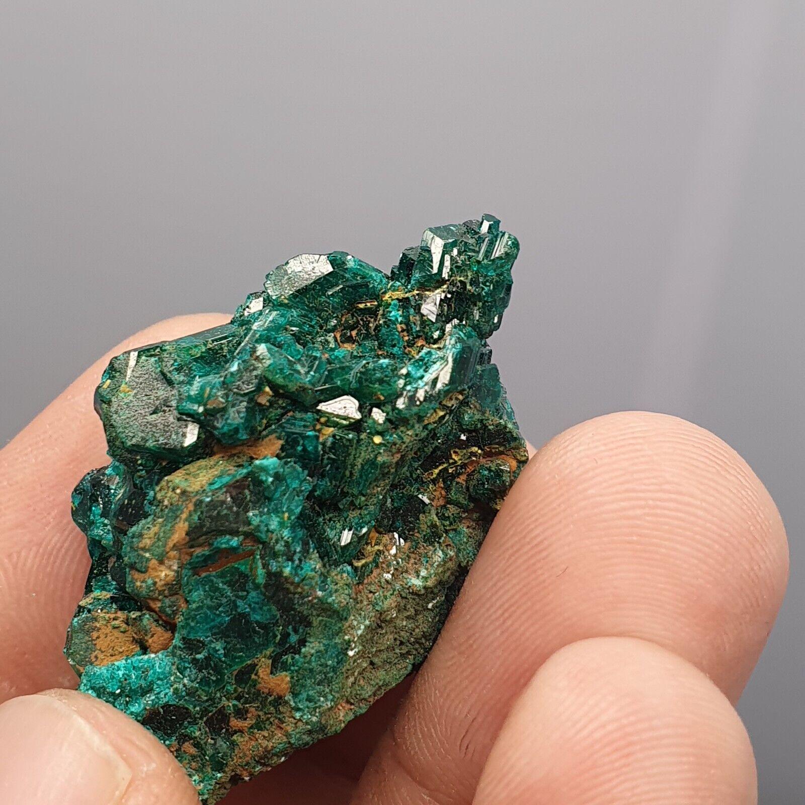 Green Dioptase Crystal Specimen: Congo Druzy Mineral (122 Carats)