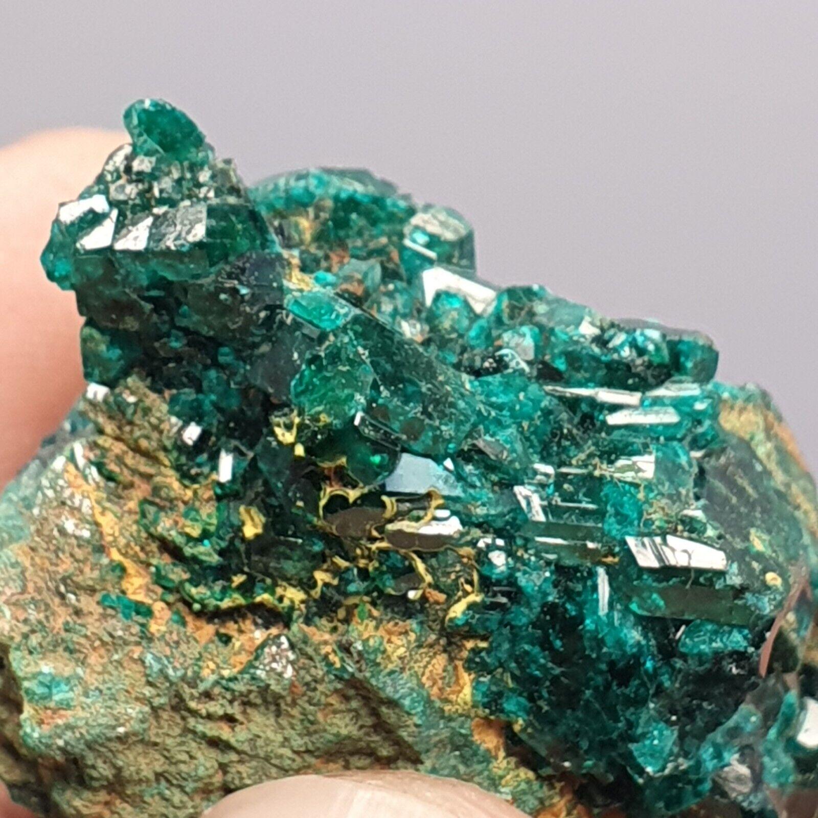 Green Dioptase Crystal Specimen: Congo Druzy Mineral (122 Carats)