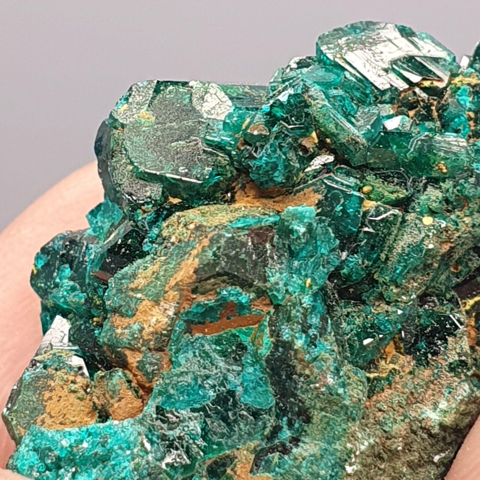 Green Dioptase Crystal Specimen: Congo Druzy Mineral (122 Carats)