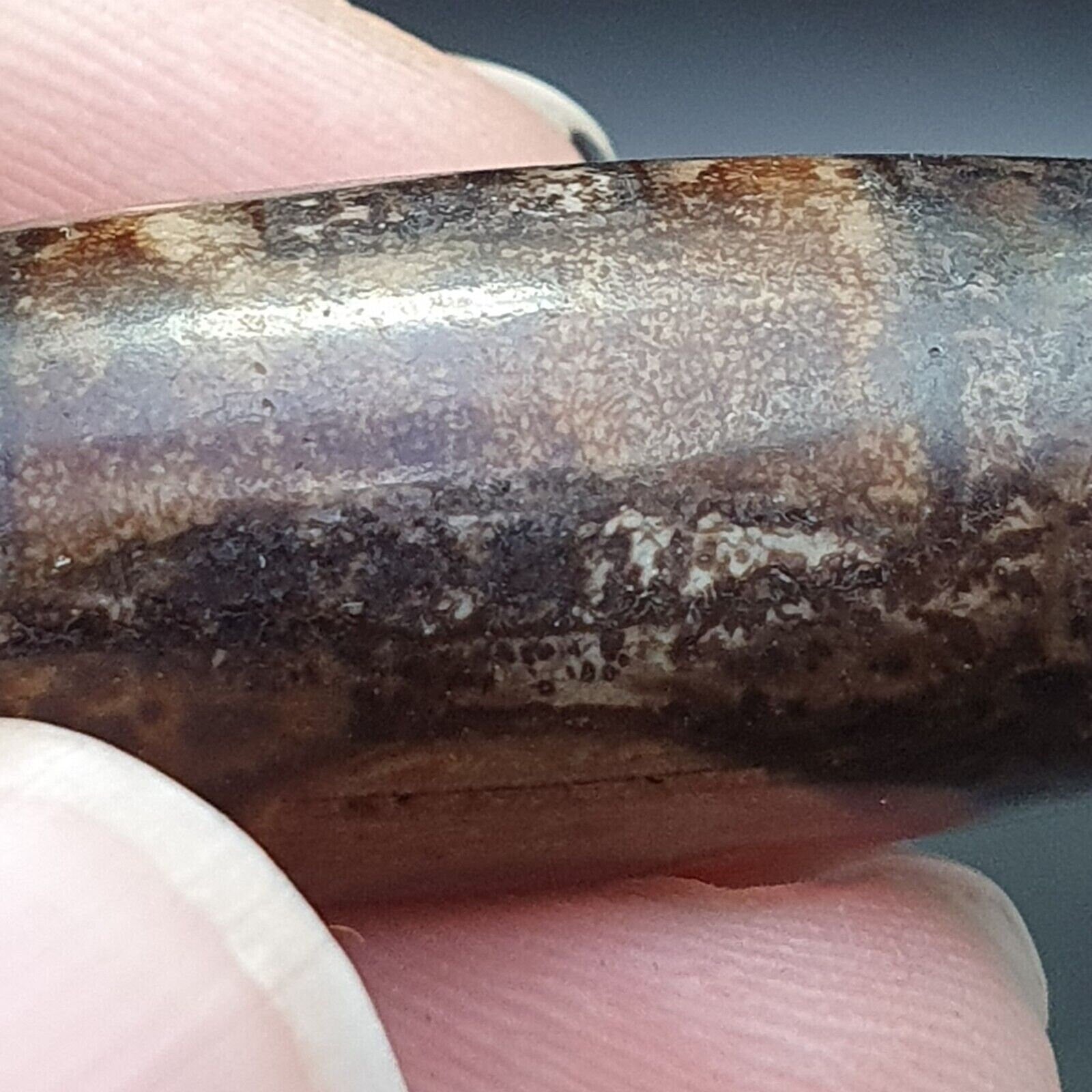 Tibetan rusted eyes agate stone dzi bead amulet bd-25-10