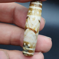 Antique south asian burmese old pyu tribal pumtek petrified wood stone bead