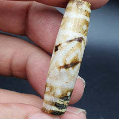 Antique south asian burmese old pyu tribal pumtek petrified wood stone bead