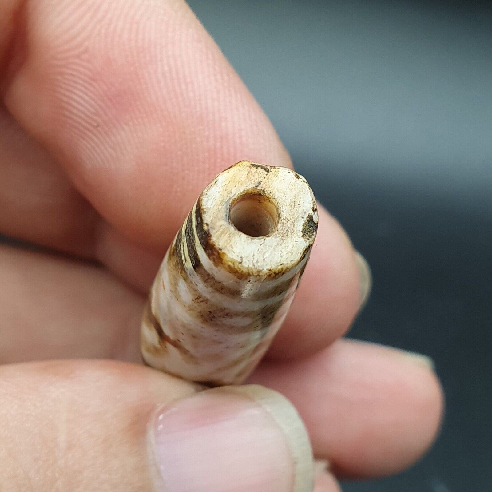 Antique south asian burmese old pyu tribal pumtek petrified wood stone bead