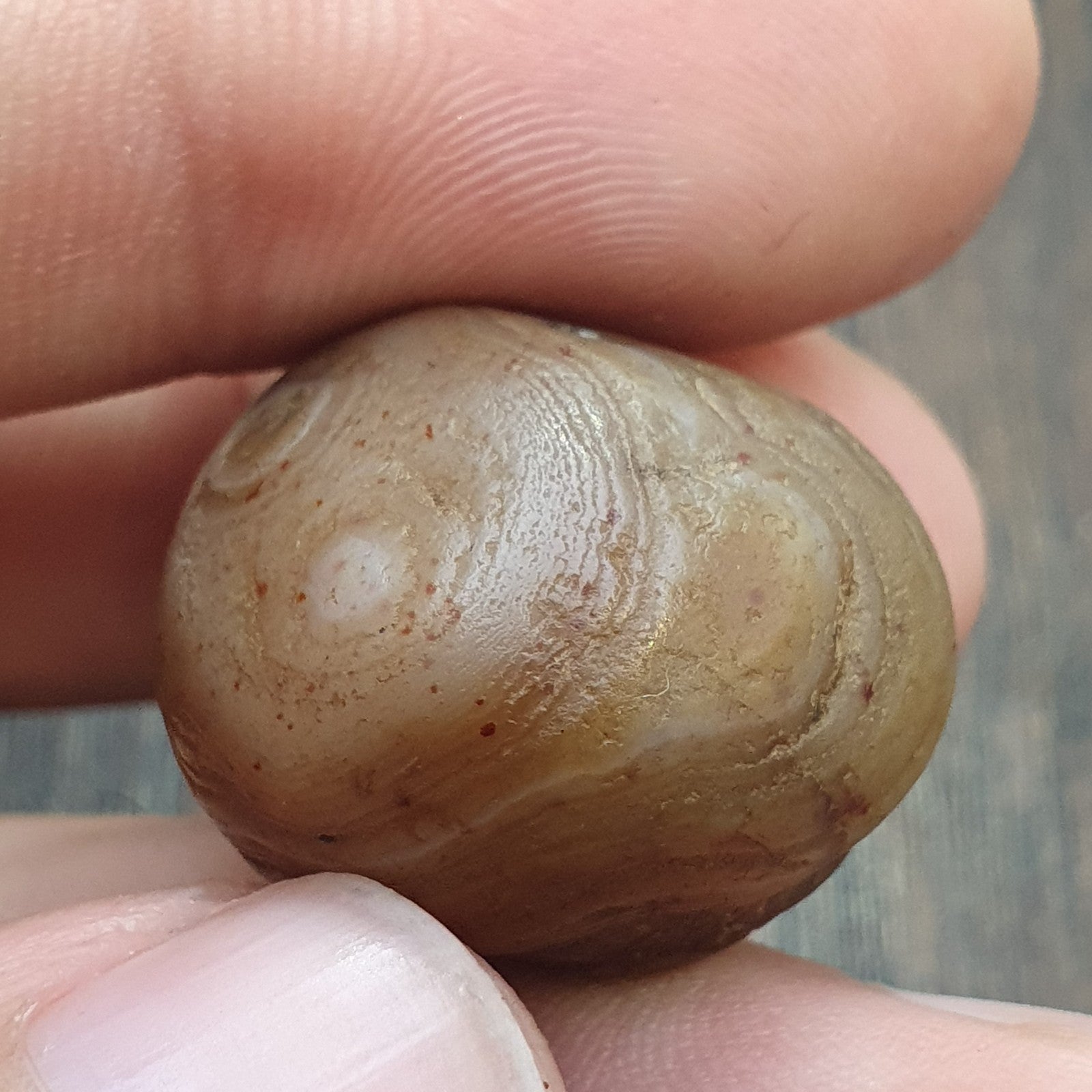 Antique ancient Yemeni Middle eastern Brown red agate stone bead amulet  KHLK 1