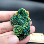 Dioptase, Emerald Green Crystal Specimen | Natural Druzy, Collector Mineral Display, 37.8 g, Congo