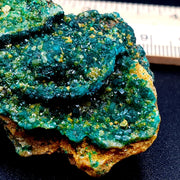 Dioptase, Emerald Green Crystal Specimen | Natural Druzy, Collector Mineral Display, 37.8 g, Congo