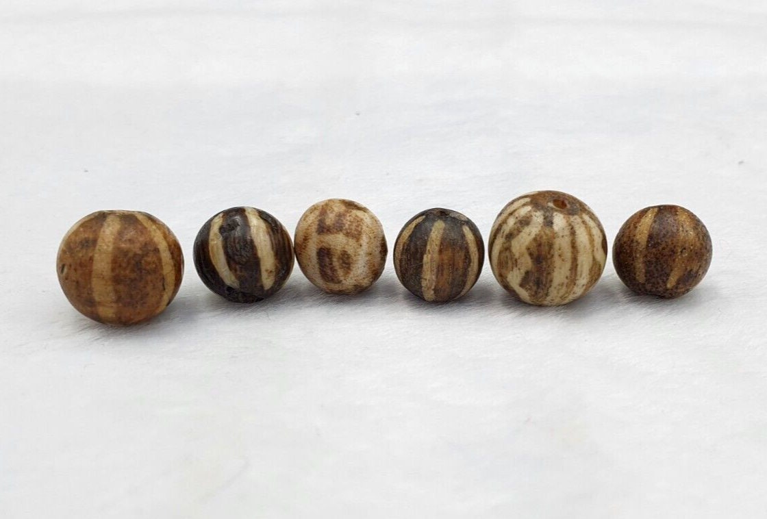 6 pcs lot south asian burmese antiques pumtek petrified wood stone late 19 c.
