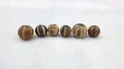 6 Pcs Lot South Asian Burmese Antiques Pumtek Petrified Wood Stone Late 19 C.