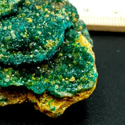 Dioptase, Emerald Green Crystal Specimen | Natural Druzy, Collector Mineral Display, 37.8 g, Congo