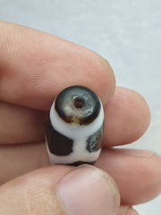 Vintage himalayan indo tibetan black and white rare patterns dzi amulet bead
