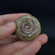 Ancient roman glass iridescent medicine or fragrance glass bottle