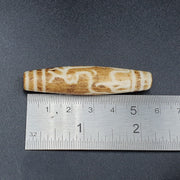 South asian burmese 58mm old pumtek petrified wood bead