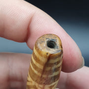 South asian burmese old pyu tribal pumtek petrified wood stone bead