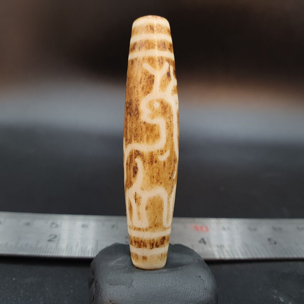 South Asian Burmese 58mm Old Pumtek Petrified Wood Bead