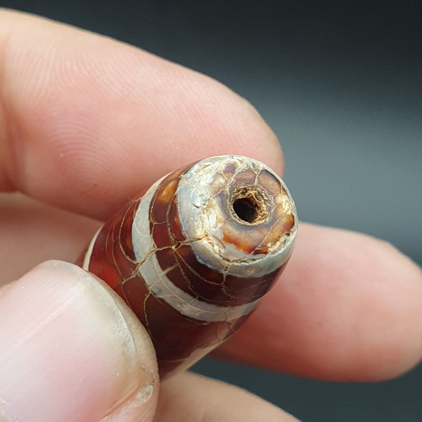 Vintage Indo Tibetan Etched Agate 2 Eye Dzi Bead