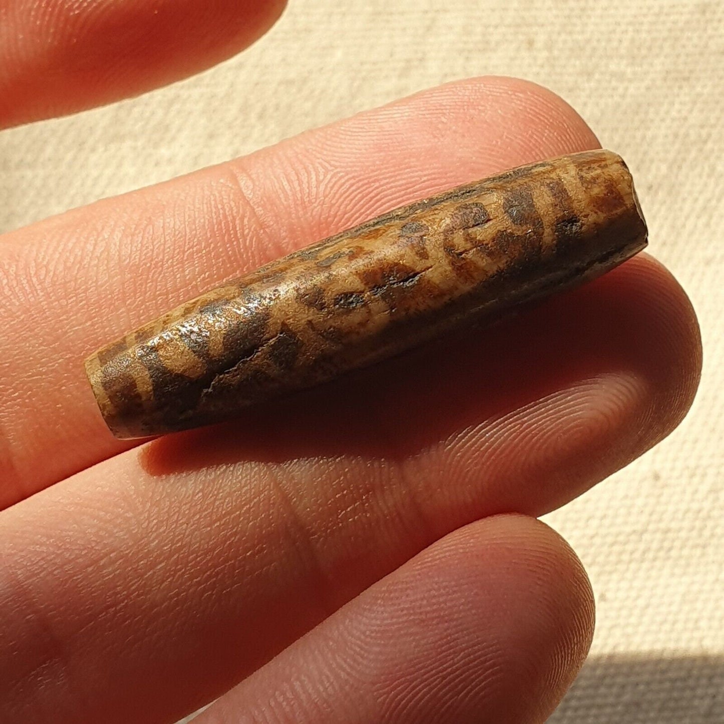 Asian burmese antique pumtek petrified wood stone bead