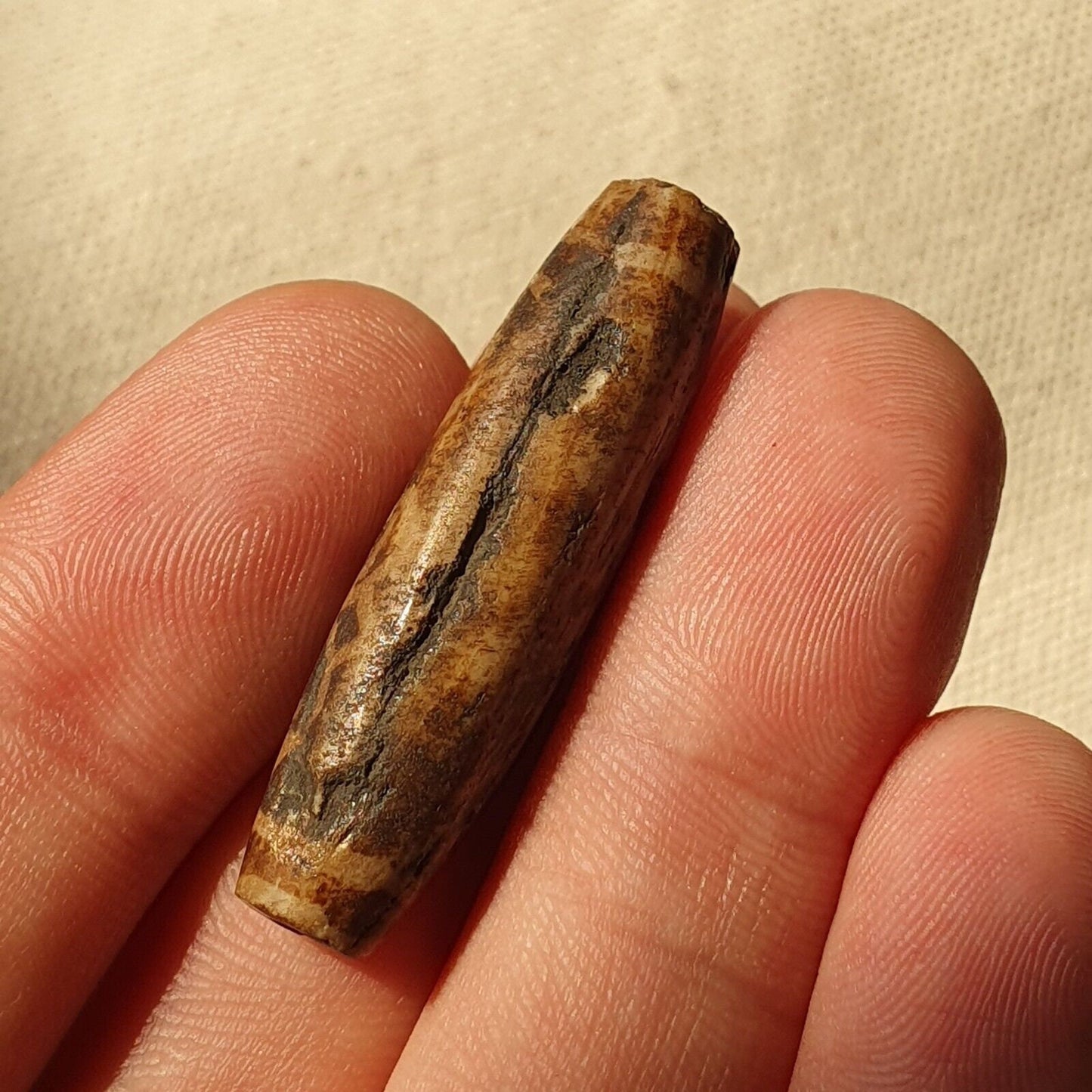 Asian burmese antique pumtek petrified wood stone bead