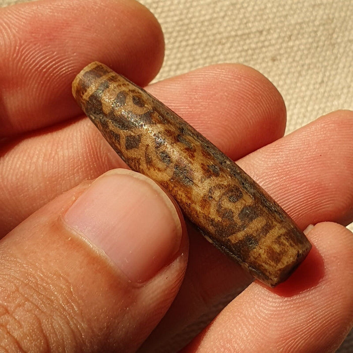 Asian burmese antique pumtek petrified wood stone bead