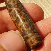Asian burmese antique pumtek petrified wood stone bead