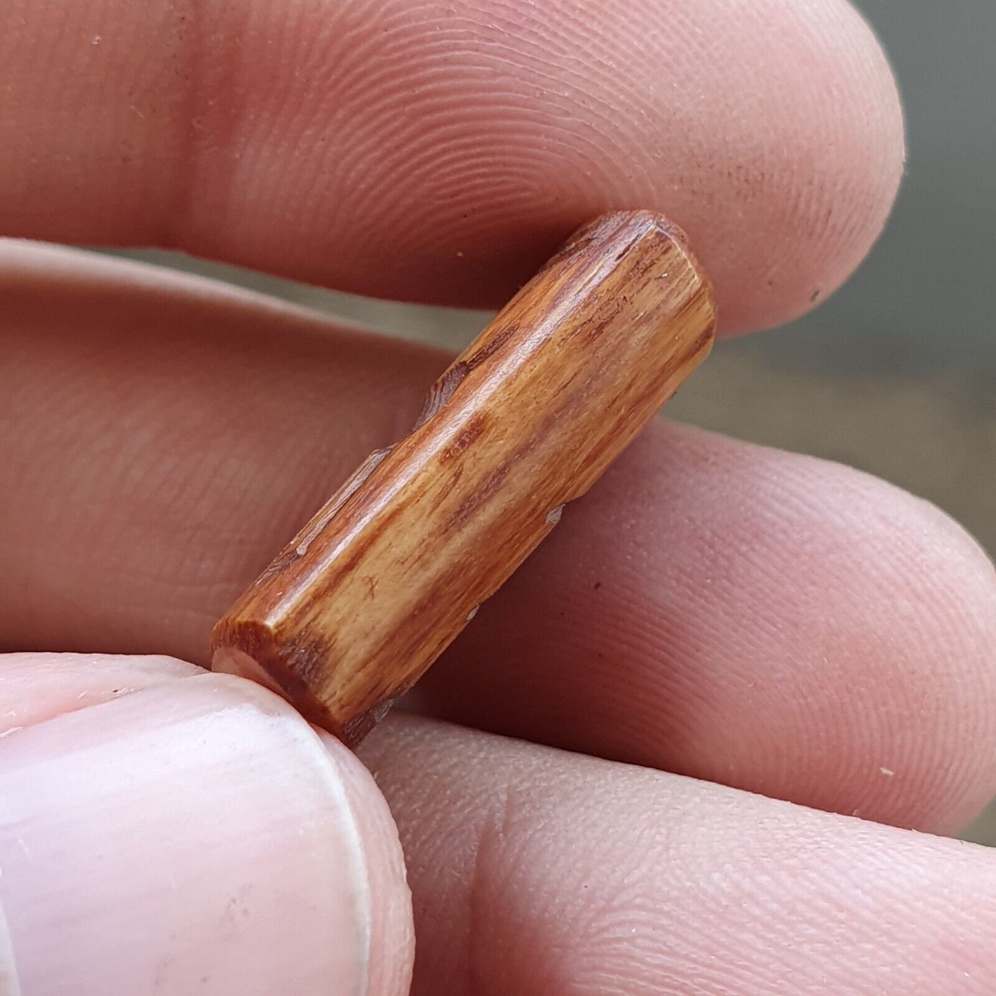 Antique vintage seal bead "mysterious fish, animal intaglio stamp bne-3