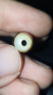 Himalayan Agate Dzi Bead: Indo Tibetan 2-Eye Amulet