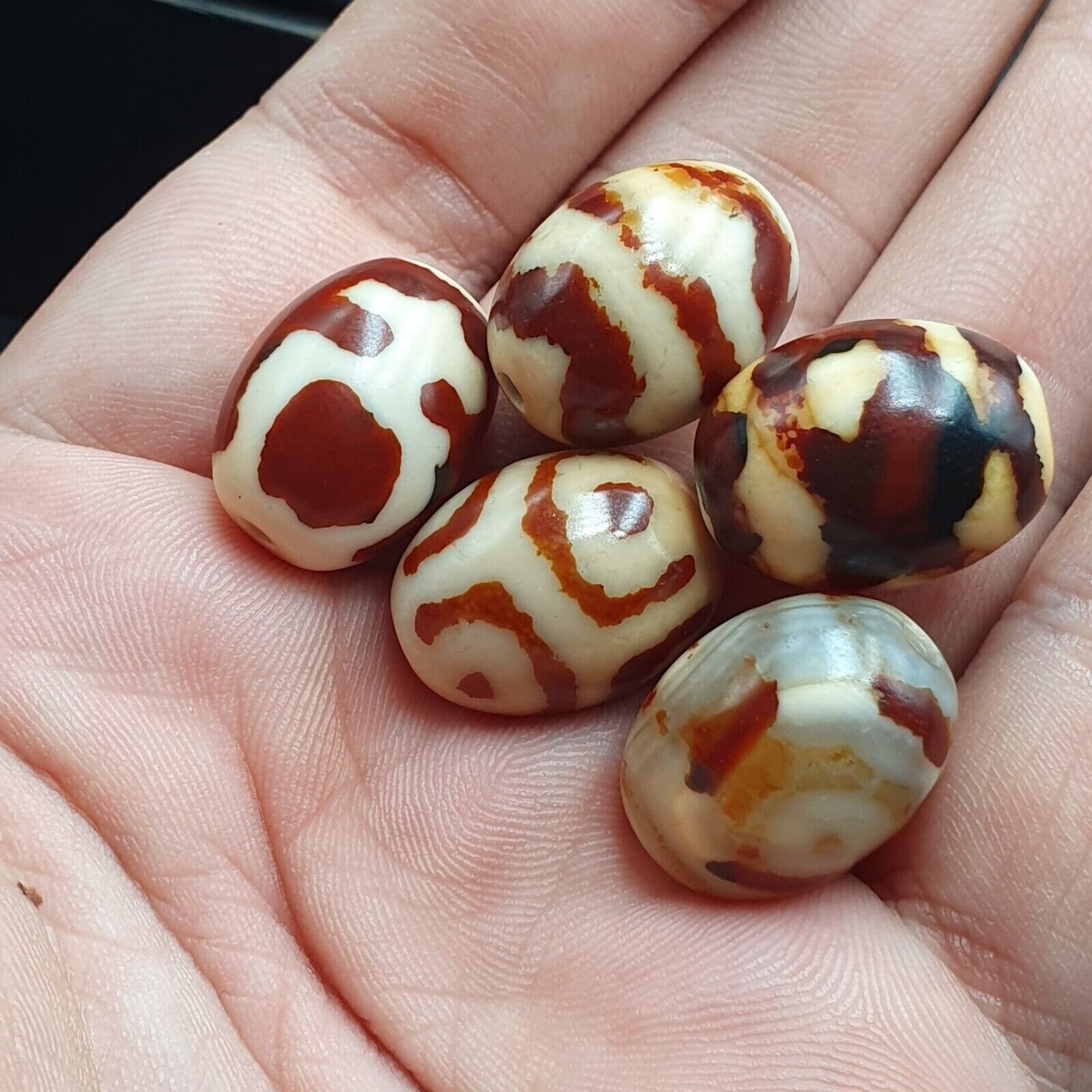 Tb#l5  himalayan indo tibetan rare patterns dzi amulet bead lot 5 beads