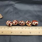 Tb#l5  himalayan indo tibetan rare patterns dzi amulet bead lot 5 beads