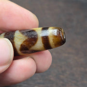 Tibetan top old agate dogtooth eye symbolize dzi bead totem pendant